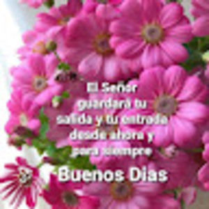 Meet your Posher, Conchita